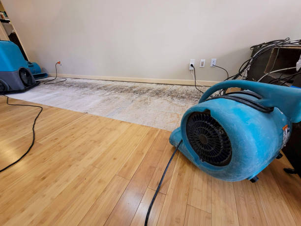 Reliable Basement Flood Cleanup contractor in West Point, TX by Hirex Water Damage