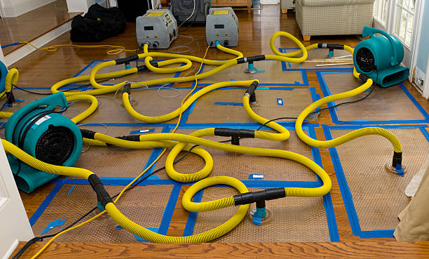 Professional Basement Flood Cleanup technician working in West Point, TX
